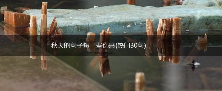 秋天的句子短一些伤感(热门30句),第1张
