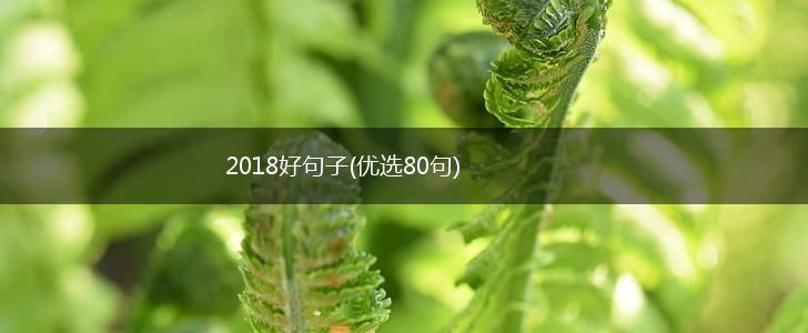 2018好句子(优选80句),第1张
