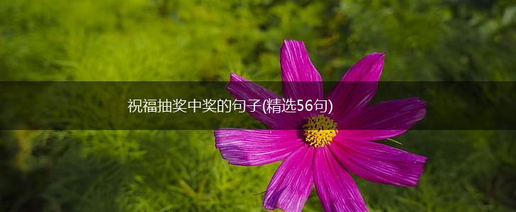 祝福抽奖中奖的句子(精选56句),第1张