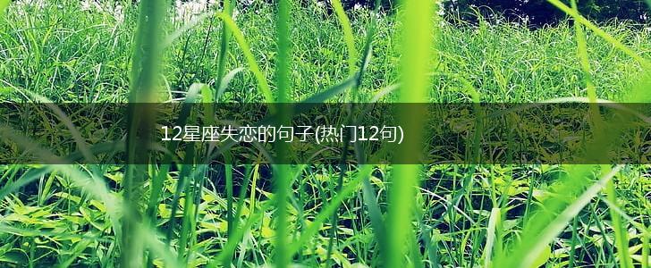 12星座失恋的句子(热门12句),第1张