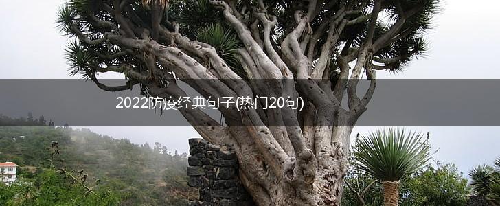 2022防疫经典句子(热门20句),第1张