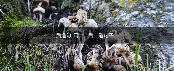 二后造句_用“二后”造句子,第1张
