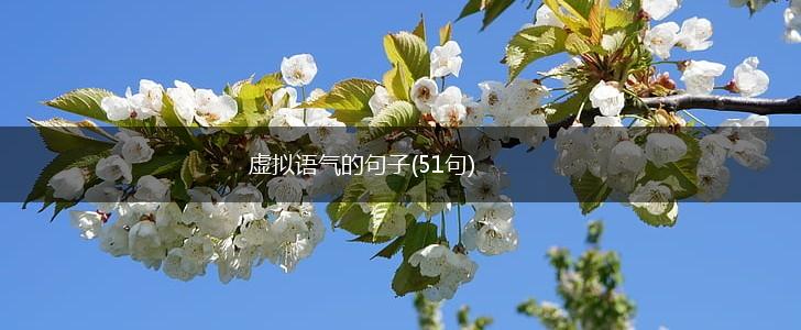 虚拟语气的句子(51句),第1张
