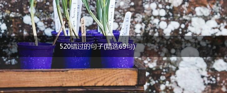 520错过的句子(精选69句),第1张