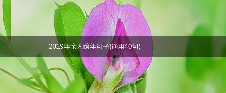 2019年亲人跨年句子(通用40句),第1张