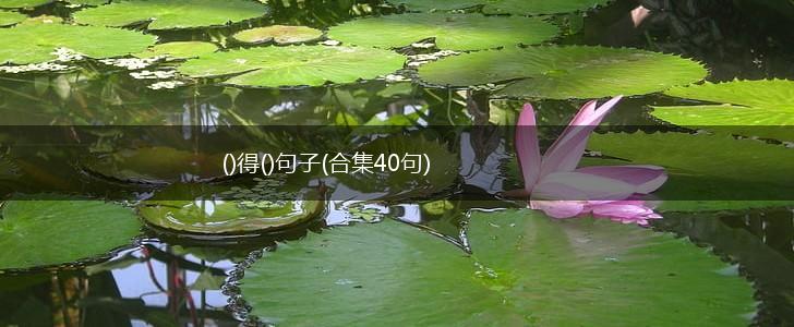 ()得()句子(合集40句),第1张