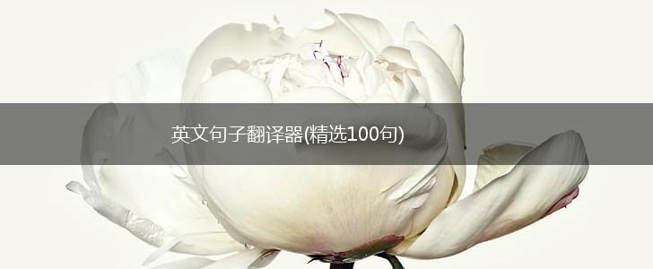 英文句子翻译器(精选100句),第1张