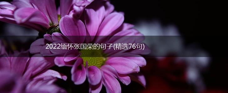 2022缅怀张国荣的句子(精选76句),第1张