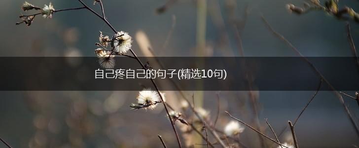 自己疼自己的句子(精选10句),第1张