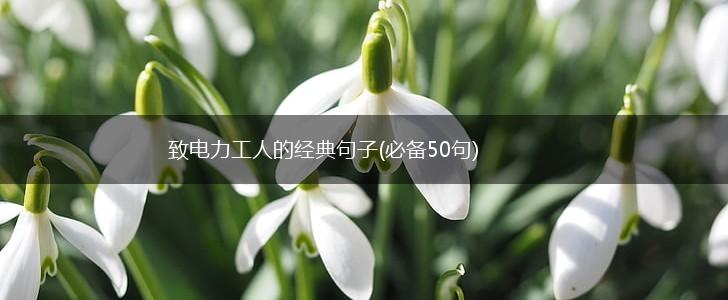 致电力工人的经典句子(必备50句),第1张