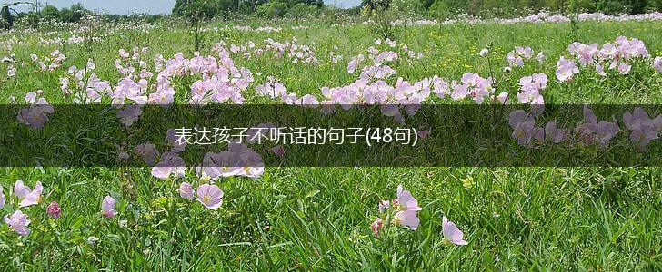 表达孩子不听话的句子(48句),第1张