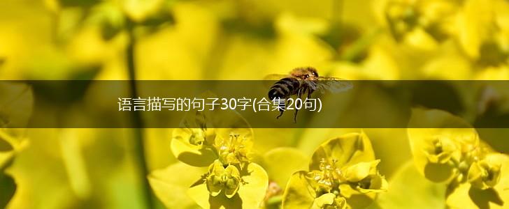 语言描写的句子30字(合集20句),第1张