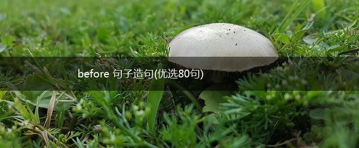 before 句子造句(优选80句),第1张