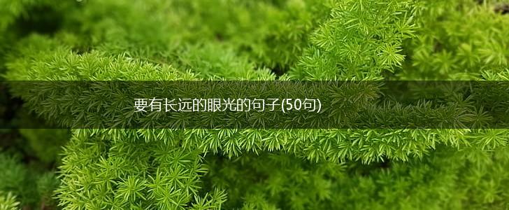 要有长远的眼光的句子(50句),第1张