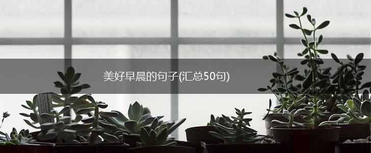 美好早晨的句子(汇总50句),第1张