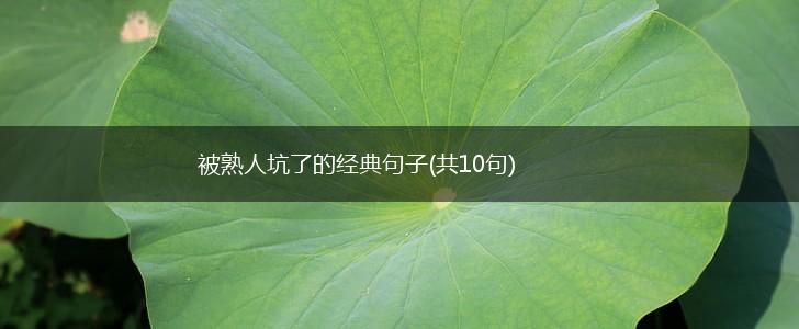 被熟人坑了的经典句子(共10句),第1张