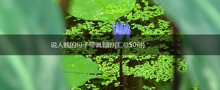 说人贱的句子带讽刺的(汇总50句),第1张