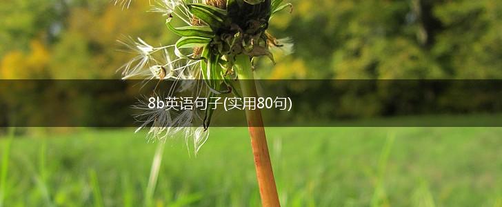 8b英语句子(实用80句),第1张