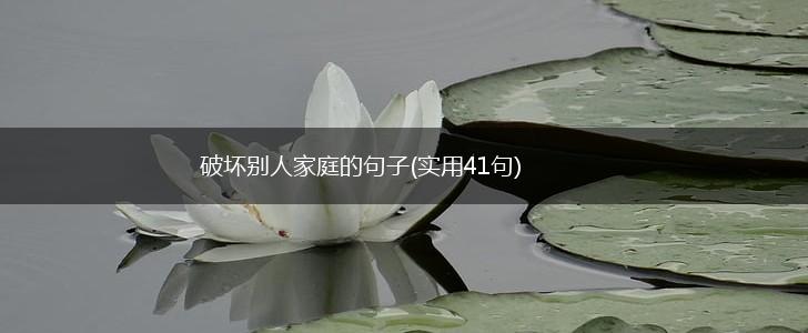 破坏别人家庭的句子(实用41句),第1张
