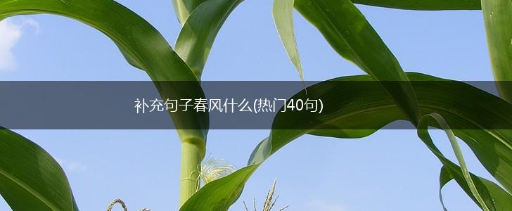 补充句子春风什么(热门40句),第1张