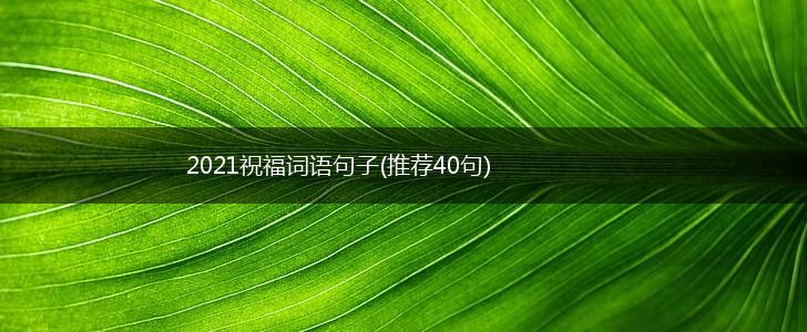 2021祝福词语句子(推荐40句),第1张