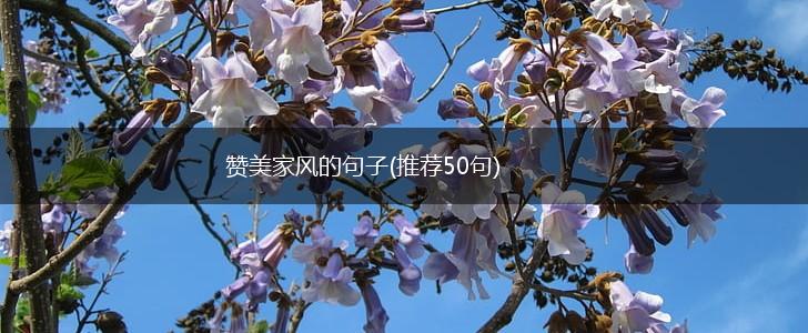 赞美家风的句子(推荐50句),第1张