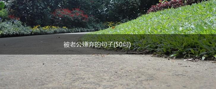 被老公嫌弃的句子(50句),第1张