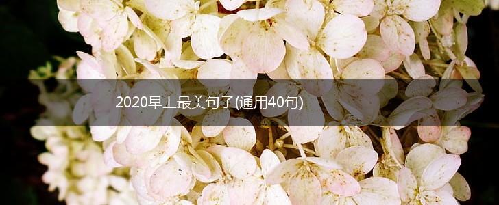 2020早上最美句子(通用40句),第1张