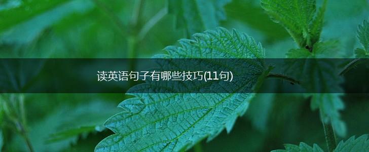 读英语句子有哪些技巧(11句),第1张