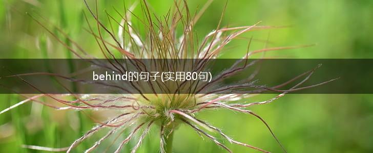 behind的句子(实用80句),第1张