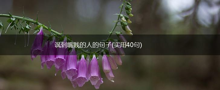 讽刺嘴贱的人的句子(实用40句),第1张