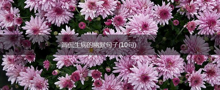调侃生病的幽默句子(10句),第1张