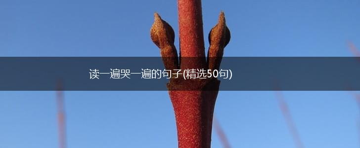 读一遍哭一遍的句子(精选50句),第1张