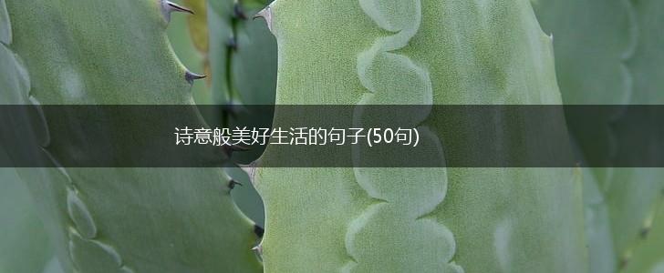 诗意般美好生活的句子(50句),第1张