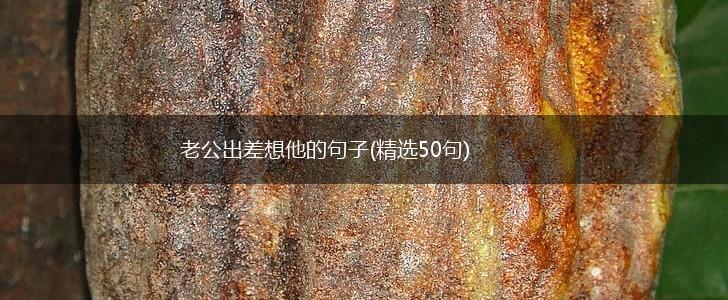 老公出差想他的句子(精选50句),第1张