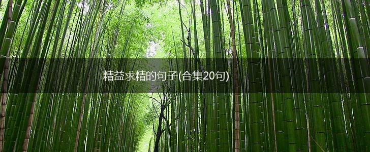 精益求精的句子(合集20句),第1张