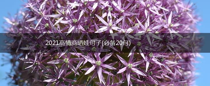 2021高情商晒娃句子(必备20句),第1张