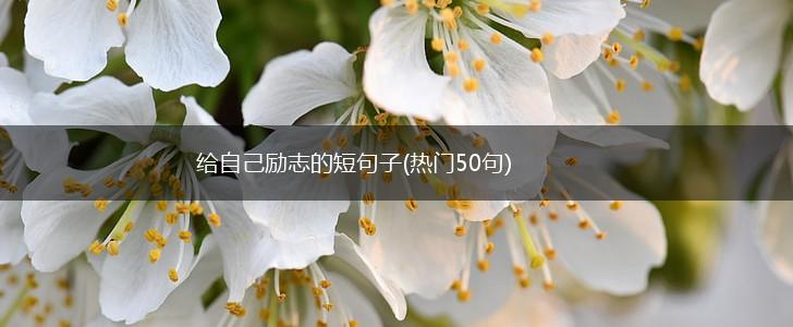 给自己励志的短句子(热门50句),第1张