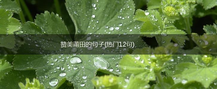赞美莆田的句子(热门12句),第1张