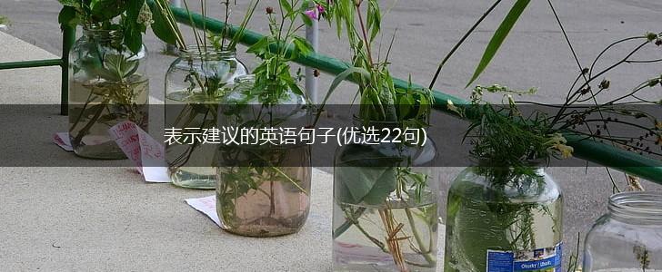 表示建议的英语句子(优选22句),第1张