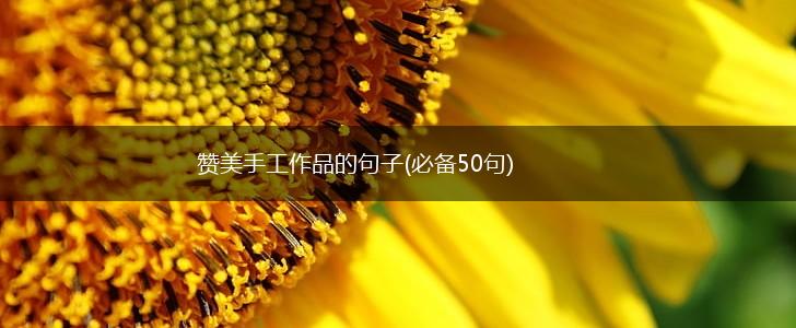 赞美手工作品的句子(必备50句),第1张