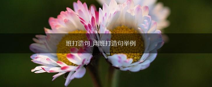 班打造句_用班打造句举例,第1张