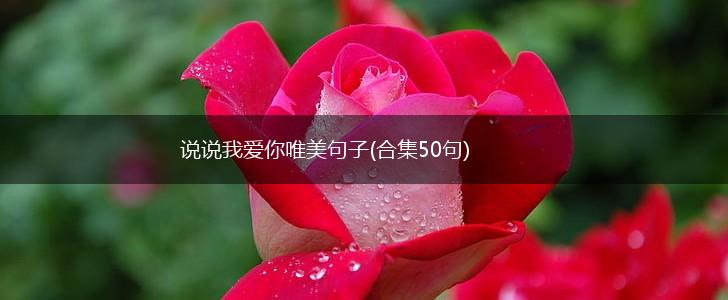 说说我爱你唯美句子(合集50句),第1张