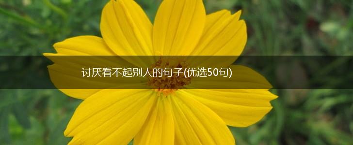 讨厌看不起别人的句子(优选50句),第1张