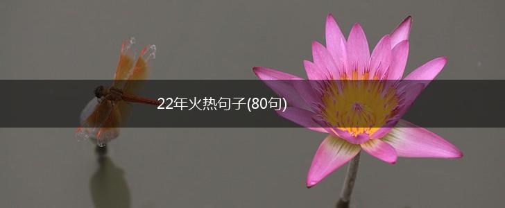 22年火热句子(80句),第1张