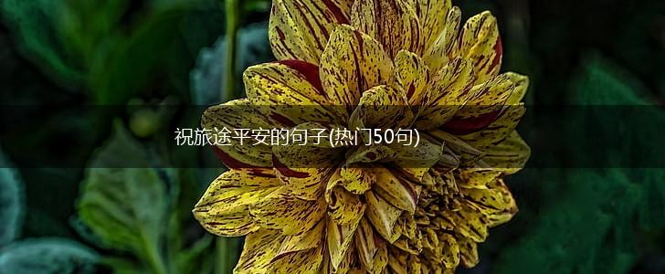 祝旅途平安的句子(热门50句),第1张