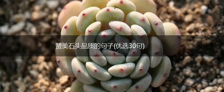 赞美石头品质的句子(优选30句),第1张