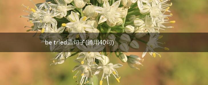 be tried造句子(通用40句),第1张