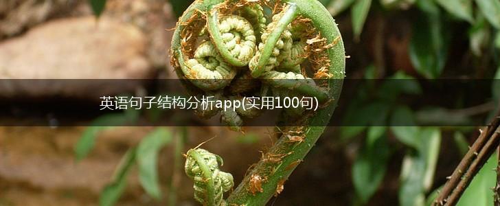 英语句子结构分析app(实用100句),第1张