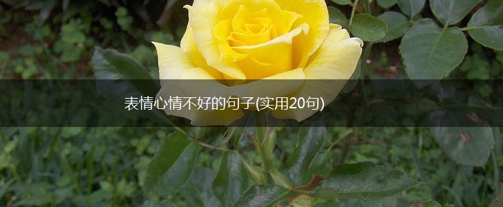 表情心情不好的句子(实用20句),第1张